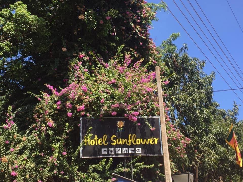 Hotel Sunflower Kataragama Exterior foto